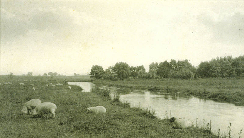 On the River Bure