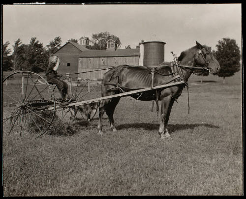 Photograph by Ed Pollard, Hasselblad H4D50 - 2022.